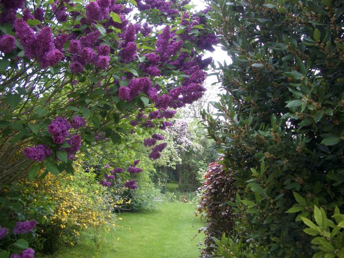 A View in Our Garden
