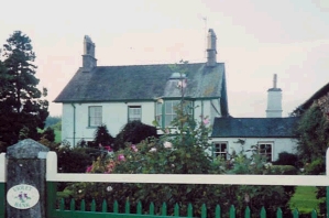 Violet Bank